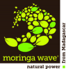 Moringa Wave